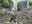 River leading hike-1.jpg