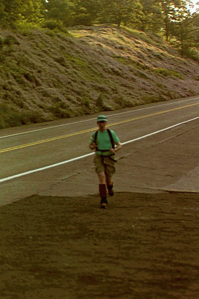 Down Ridge Road to the Bull Creek checkpoint