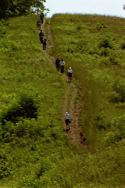 Coming down Log Cabin Hill