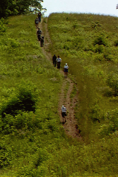 Coming down Log Cabin Hill