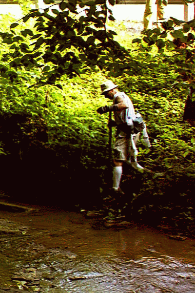 Crossing Bailey Run near Creighton