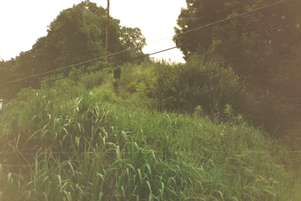 Looking up the hill at Riddle Run Road