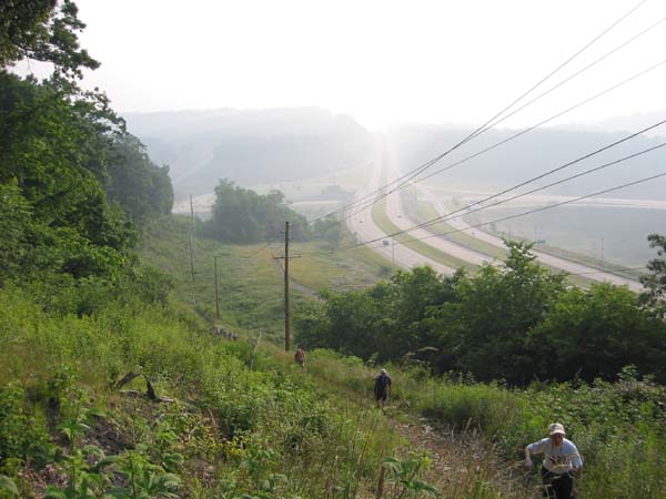 View from the top