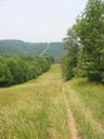 Along Log Cabin hill