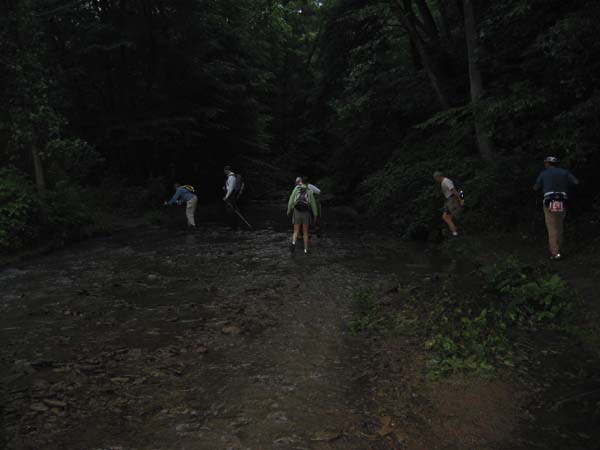 First Crouse Run stream crossing