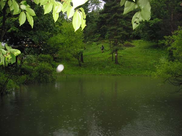 Hidden Pond