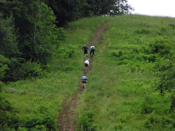 Up Log Cabin Hill