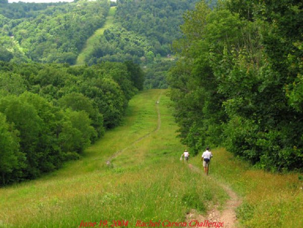 Along Log Cabin Hill