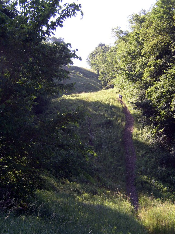 Up Log Cabin Hill