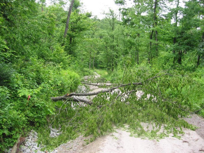 Lots of fallen trees down to Donnellville Road