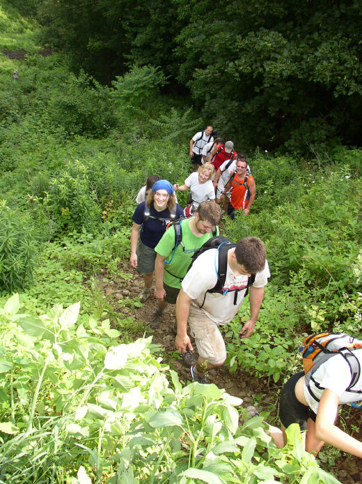 Up the hill to Murray Hill Estates