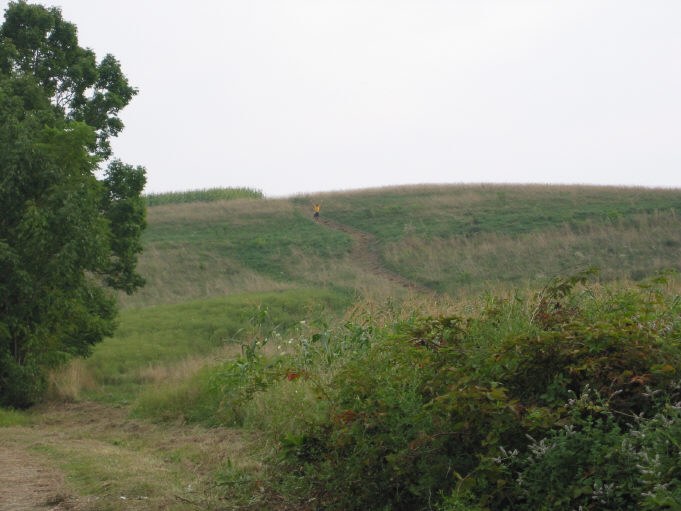 Runner descends the hill to the finish